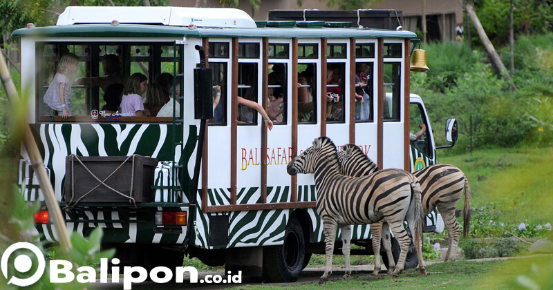 Bali Safari Marine Park
