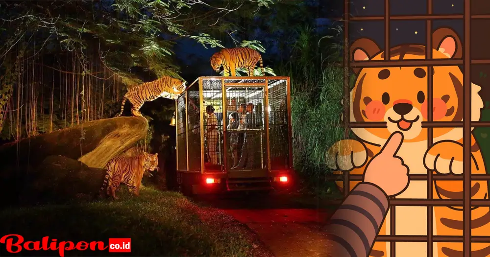 Night Safari Journey Bali