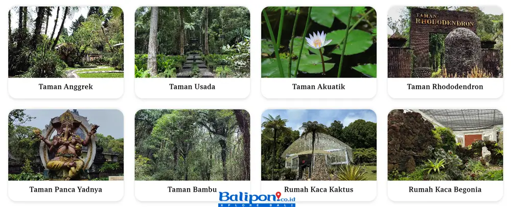 Taman Kebun Raya Bali