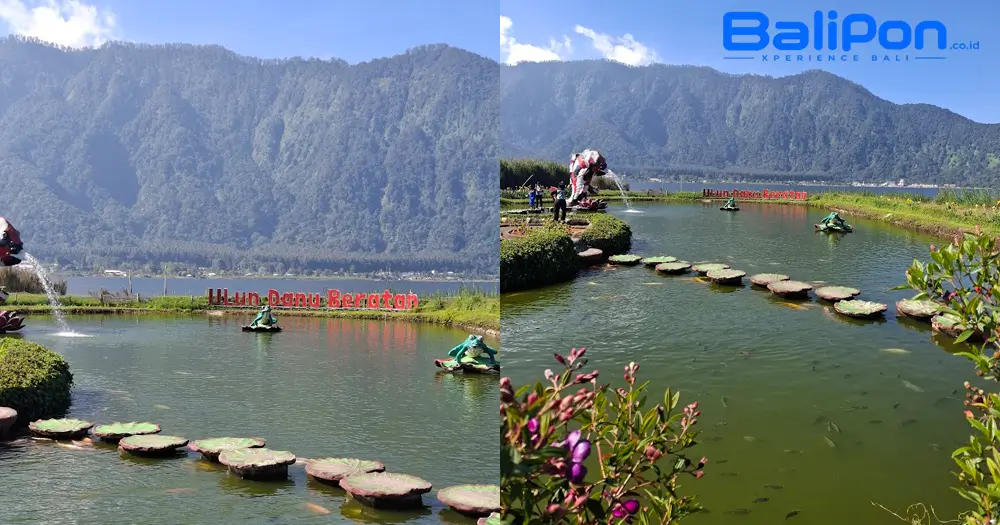 Kolam Ikan Koi di Ulun Danu Beratan